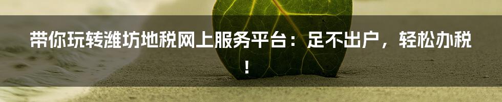 带你玩转潍坊地税网上服务平台：足不出户，轻松办税！