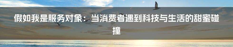 假如我是服务对象：当消费者遇到科技与生活的甜蜜碰撞