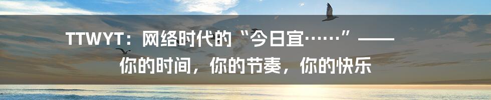 TTWYT：网络时代的“今日宜……”—— 你的时间，你的节奏，你的快乐