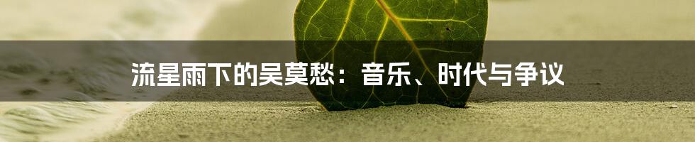 流星雨下的吴莫愁：音乐、时代与争议