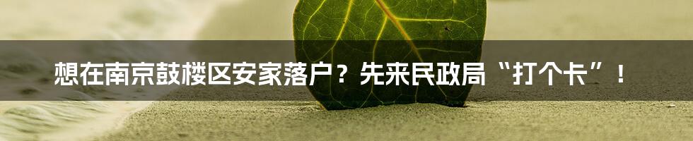 想在南京鼓楼区安家落户？先来民政局“打个卡”！