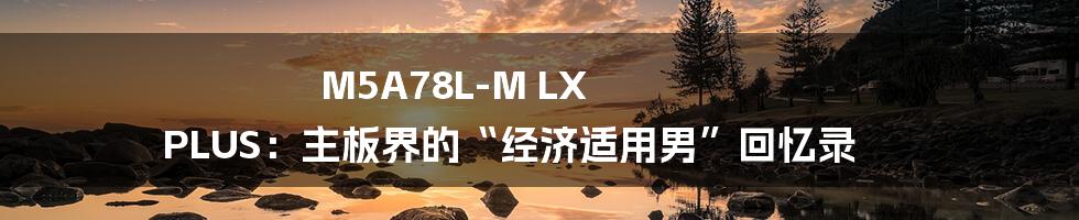 M5A78L-M LX PLUS：主板界的“经济适用男”回忆录