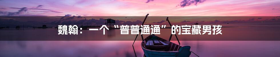 魏翰：一个“普普通通”的宝藏男孩