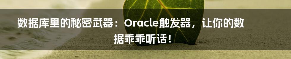 数据库里的秘密武器：Oracle触发器，让你的数据乖乖听话！