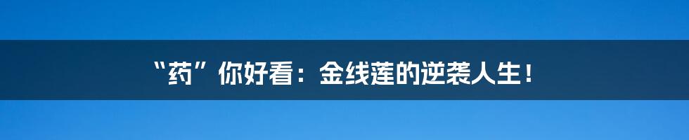“药”你好看：金线莲的逆袭人生！