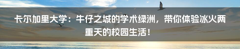 卡尔加里大学:牛仔之城的学术绿洲,带你体验冰火两重天的校园生活!