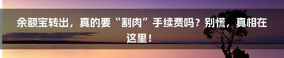 余额宝转出，真的要“割肉”手续费吗？别慌，真相在这里！