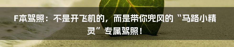 F本驾照：不是开飞机的，而是带你兜风的“马路小精灵”专属驾照！