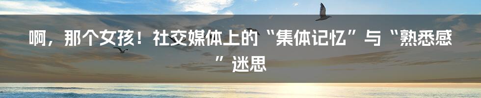 啊，那个女孩！社交媒体上的“集体记忆”与“熟悉感”迷思