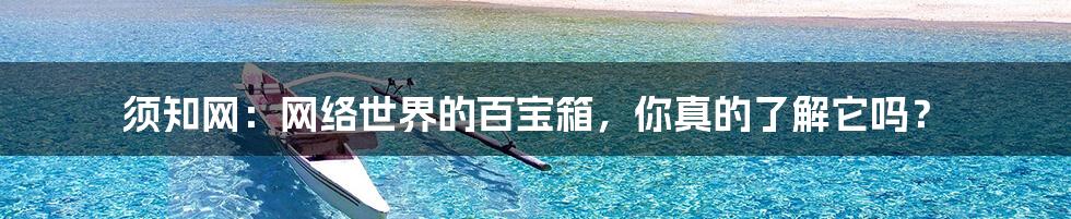 须知网：网络世界的百宝箱，你真的了解它吗？
