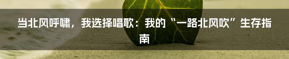 当北风呼啸，我选择唱歌：我的“一路北风吹”生存指南
