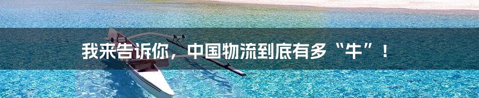 我来告诉你，中国物流到底有多“牛”！