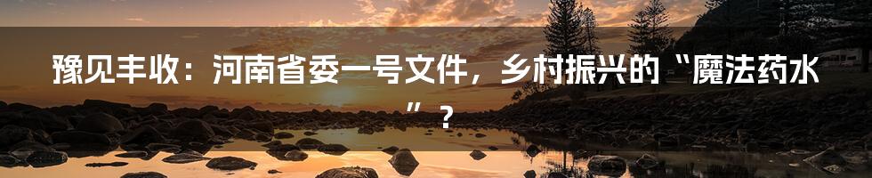 豫见丰收：河南省委一号文件，乡村振兴的“魔法药水”？