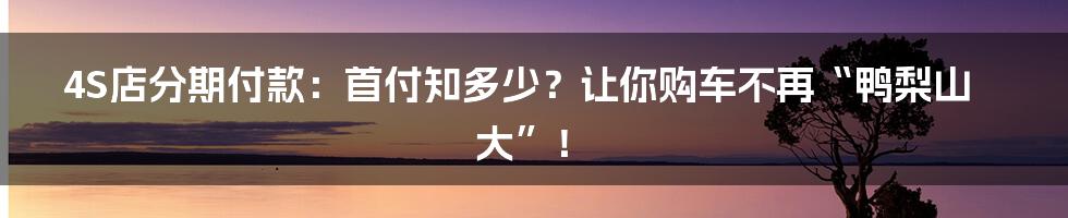 4S店分期付款：首付知多少？让你购车不再“鸭梨山大”！