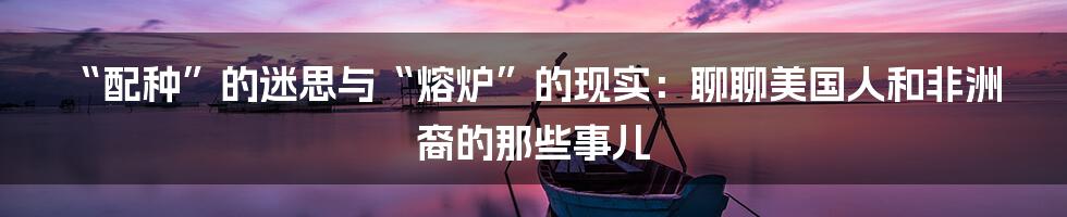 “配种”的迷思与“熔炉”的现实：聊聊美国人和非洲裔的那些事儿