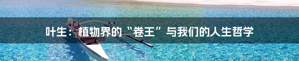叶生：植物界的“卷王”与我们的人生哲学
