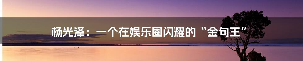 杨光泽：一个在娱乐圈闪耀的“金句王”