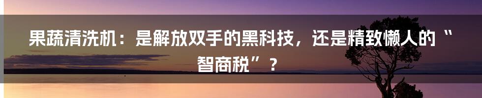 果蔬清洗机：是解放双手的黑科技，还是精致懒人的“智商税”？