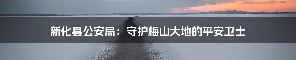 新化县公安局：守护梅山大地的平安卫士