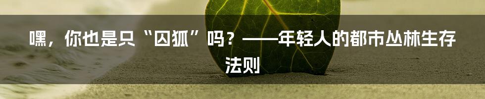 嘿,你也是只“囚狐”吗?——年轻人的都市丛林生存法则