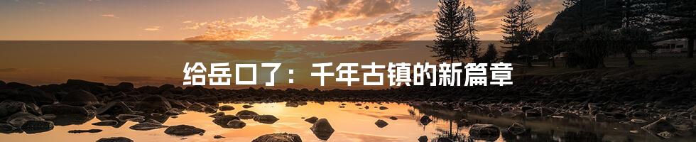 给岳口了：千年古镇的新篇章