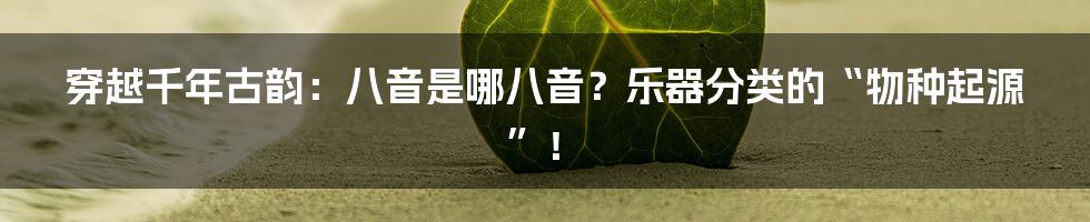 穿越千年古韵：八音是哪八音？乐器分类的“物种起源”！