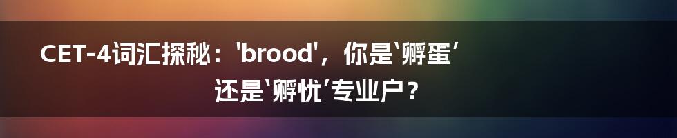 CET-4词汇探秘：'brood'，你是‘孵蛋’还是‘孵忧’专业户？