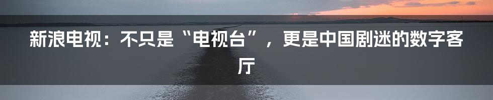 新浪电视:不只是“电视台”,更是中国剧迷的数字客厅