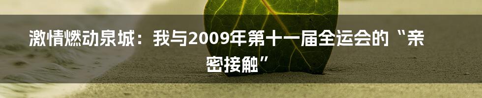 激情燃动泉城：我与2009年第十一届全运会的“亲密接触”