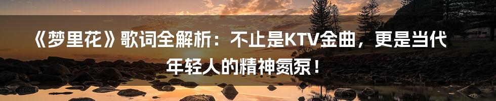 《梦里花》歌词全解析:不止是KTV金曲,更是当代年轻人的精神氮泵!