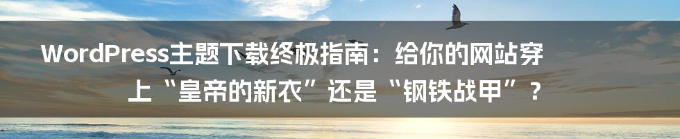 WordPress主题下载终极指南:给你的网站穿上“皇帝的新衣”还是“钢铁战甲”?