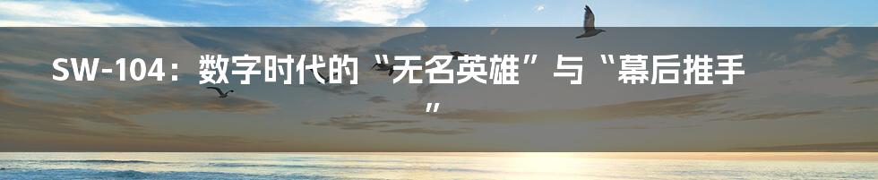 SW-104:数字时代的“无名英雄”与“幕后推手”