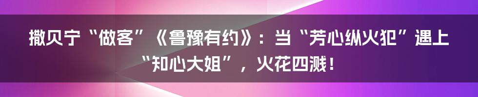 撒贝宁“做客”《鲁豫有约》:当“芳心纵火犯”遇上“知心大姐”,火花四溅!