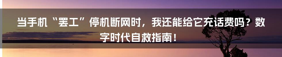 当手机“罢工”停机断网时,我还能给它充话费吗?数字时代自救指南!