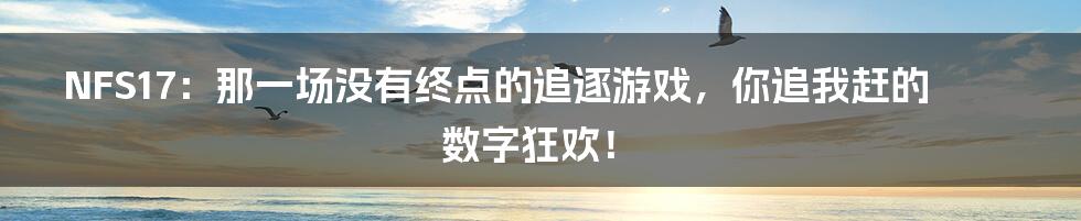 NFS17:那一场没有终点的追逐游戏,你追我赶的数字狂欢!