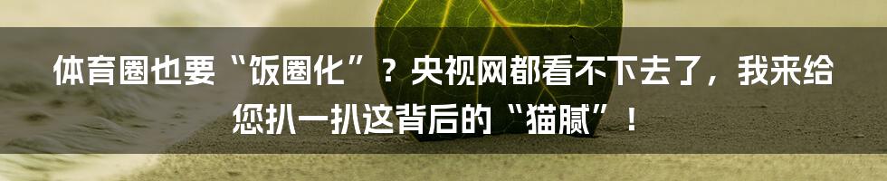 体育圈也要“饭圈化”?央视网都看不下去了,我来给您扒一扒这背后的“猫腻”!