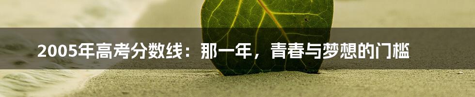 2005年高考分数线:那一年,青春与梦想的门槛