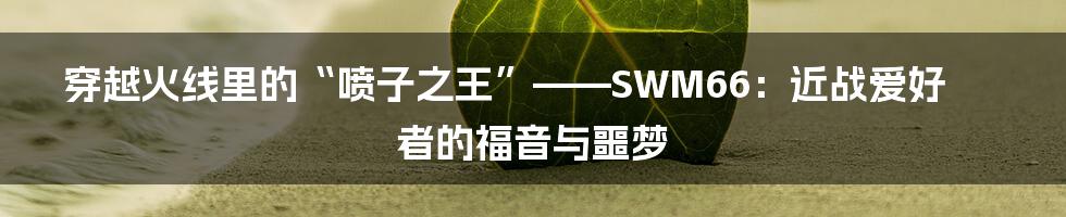 穿越火线里的“喷子之王”——SWM66:近战爱好者的福音与噩梦