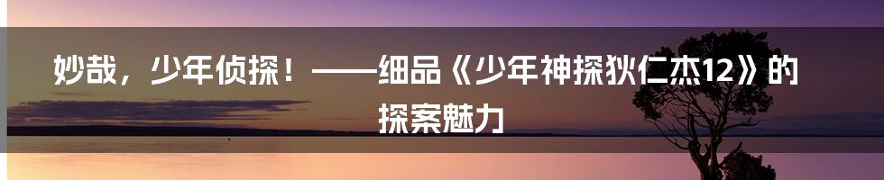 妙哉,少年侦探!——细品《少年神探狄仁杰12》的探案魅力