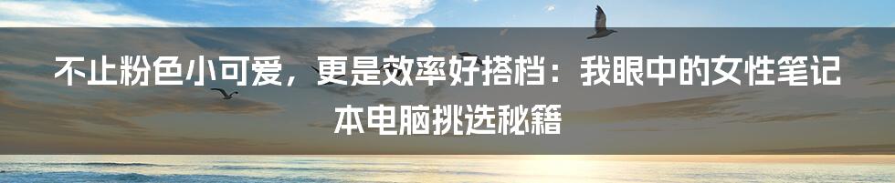 不止粉色小可爱，更是效率好搭档：我眼中的女性笔记本电脑挑选秘籍