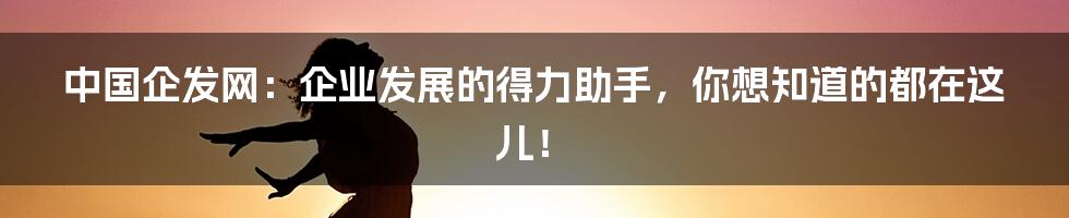 中国企发网:企业发展的得力助手,你想知道的都在这儿!