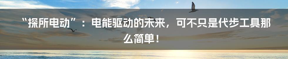 “探所电动”:电能驱动的未来,可不只是代步工具那么简单!
