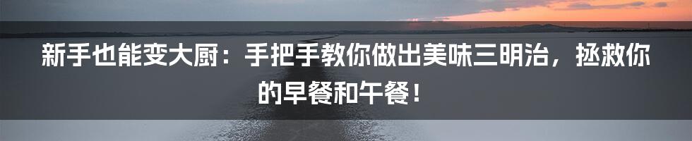新手也能变大厨：手把手教你做出美味三明治，拯救你的早餐和午餐！