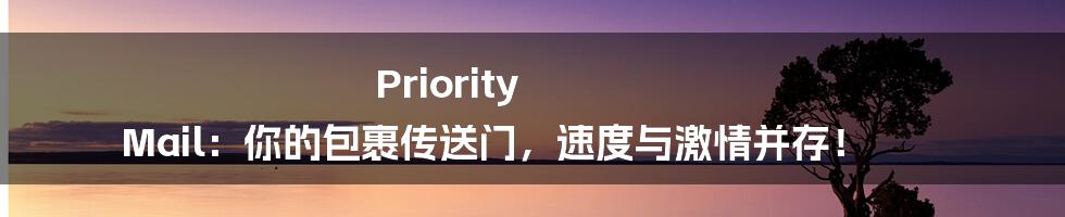 Priority Mail：你的包裹传送门，速度与激情并存！