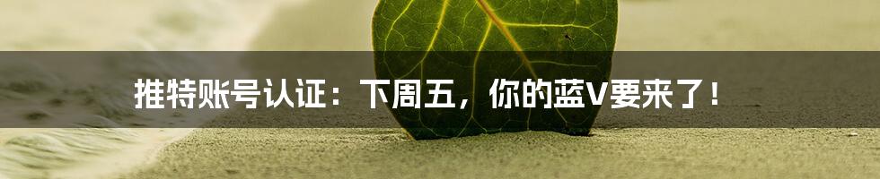 推特账号认证:下周五,你的蓝V要来了!