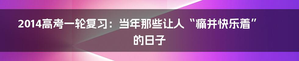 2014高考一轮复习:当年那些让人“痛并快乐着”的日子