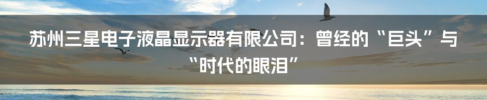 苏州三星电子液晶显示器有限公司:曾经的“巨头”与“时代的眼泪”