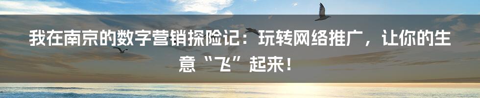 我在南京的数字营销探险记:玩转网络推广,让你的生意“飞”起来!