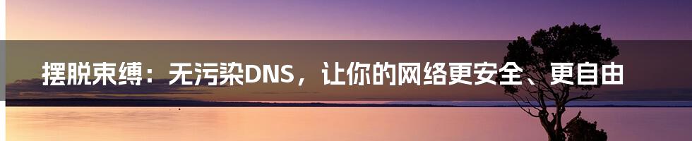 摆脱束缚:无污染DNS,让你的网络更安全、更自由