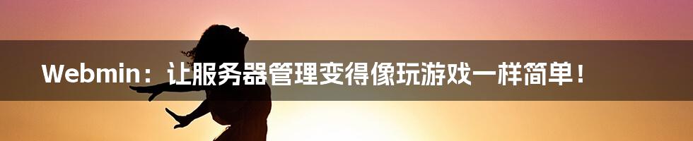Webmin：让服务器管理变得像玩游戏一样简单！